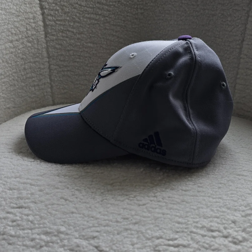 Charlotte Hornets NBA Fitted Gray and White Cap. Lg./ Xl. Fitmax 70
